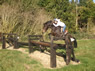 Wickstead Jump8